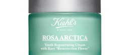 Kiehl’s Rosa Arctica Anti-Aging Cream