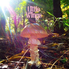 little wings