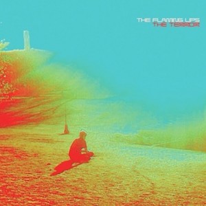 flaming-lips-the-terror