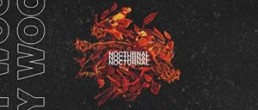 Roy Woods: Nocturnal