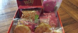 Discover the Flavors of Japan with Subscription Snackbox Bokksu