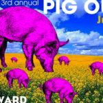 3rd Ward Pig