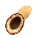 UGG boot 2