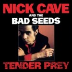 Nick Cave Tender Prey