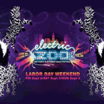 electric-zoo-2011