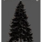 Harry and the Potters Yule Ball