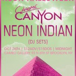 Neon Indian DJ set