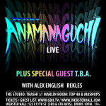 anamanaguchi live poster